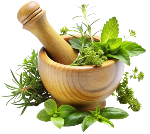 Unnathi Ayurveda Authentic Ayurvedic Wellness & Training