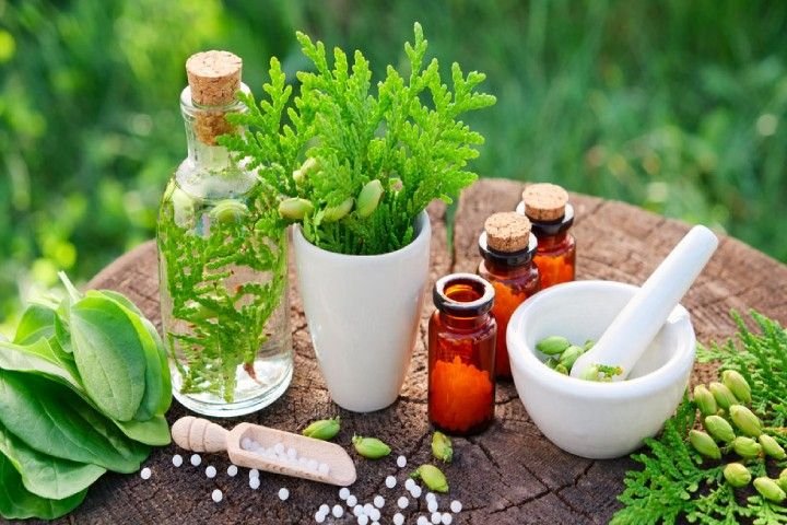 Certificate Course in Ayurvedic Lifestyle Disorder Prevention